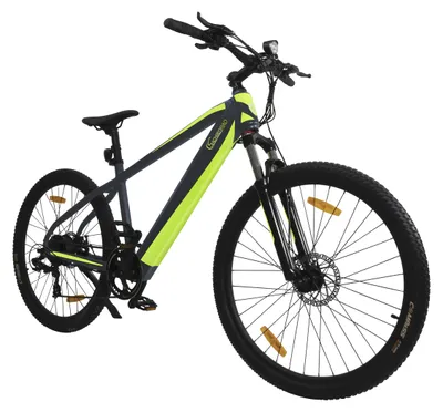 Produktbild von SachsenRAD E-Mountainbike RR Crosstourer 36V 10Ah