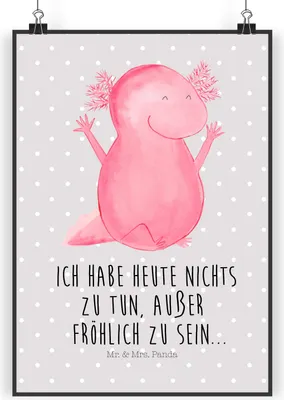 Produktbild von Mr. & Mrs. Panda Bild Axolotl Hurra DIN A5 - Grau Pastell - Geschenk, Plakat, Lurch, Spaß, drucke, Motivation, kunstdruck poster, Wandbild, wanddeko