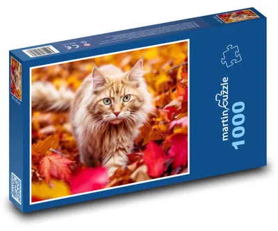 Obrázok produktu pre Puzzle 1000 Mačka v jesennom lístí - martinpuzzle