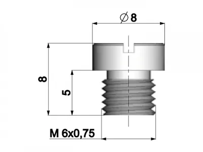 Image de Gicleur principal Polini 6 mm pour carburateur Dellorto, référence : 170