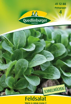 Produktbild von Feldsalat Verte à couer plein 2 (10 g) | Feldsalatsamen von Quedlinburger