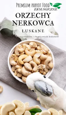 Obrázek produktu pro Prémiové krmivo pro papoušky - Organické kešu oříšky - pro všechny papoušky 100G