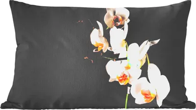 Produktbild von MuchoWow® Zierkissen Sofakissen Wohnzimmer Dekokissen 60x40 cm Orchidee - Blumen - Pflanzen - Botanisch - Kopfkissen - Polster mit Foto