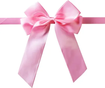 Immagine prodotto di Nastro regalo per il cavallino - rosa