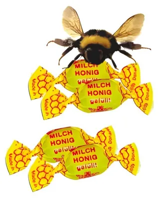 Produktbild Edel Milch Honig Bonbons mit Honig gefüllt und gewickelt 100g