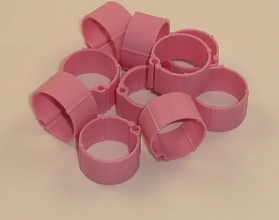 Produktbild von 10 Clickringe 18mm Huhn HühnerHühnerzucht