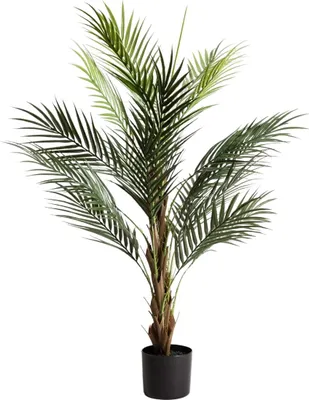 Produktbild von HOMLA Künstliche Pflanze TROPICAL ZONE Palme 120 cm