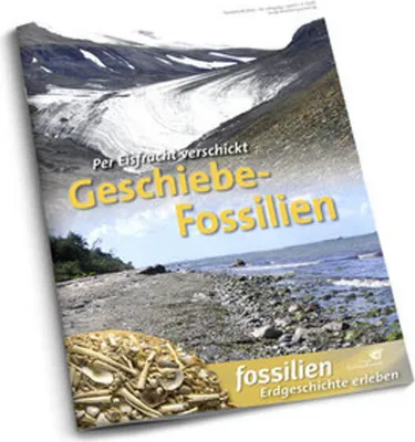 Obrázok produktu pre Geschiebe-Fossilien