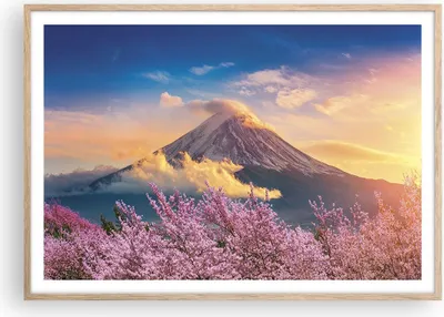 Produktbild von Gerahmtes Poster - Rahmen in heller Eiche - Fuji Blume Kirsche - 100x70 cm - Wand Bild - Wanddeko - Wandbilder - Kunstposter - Wandposter - Bilderrahmen - Bilder - Kunstdruck - P2NAA100x70-4490