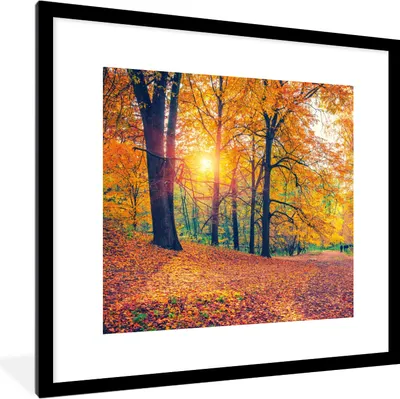 Produktbild von MuchoWow® Gerahmtes Poster Bäume - Herbst - Wald - Herbstliche Blätter 40x40 cm - Poster mit Schwarzem Bilderrahmen Wandposter Rahmen Foto Bilder - Poster - Plakat im Rahmen
