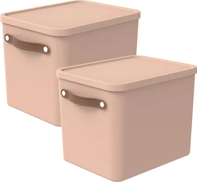 Produktbild von Rotho 2er-Set Aufbewahrungsbox 27L Maloja - Kunststoffbox mit Deckel - Stapelbox 40,0 x 29,0 x 29,5 cm - Plastikbox Ordnungsbox Allzweckkiste