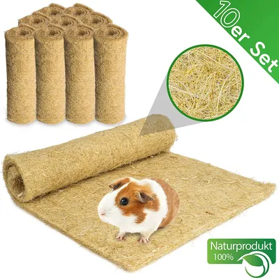Produktbild von Nagerteppich aus 100% Hanf, 40 x 25cm, 5mm dick, 10er Pack