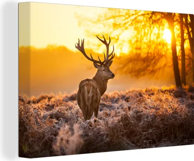 Obrázek produktu pro OneMillionCanvasses® - Výtisky na plátně - 140x90 cm, Jelen - Zvířata - Západ slunce - Zima - Vřes - Příroda, nástěnné umělecké tisky nástěnné dekorace - Fotografie na plátně -