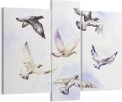 Produktbild von Bild auf Leinwand - Leinwandbild - Vögel Aquarell Wildheit Fliegen - 95x80cm - Wand Bild - Wanddeko - Leinwanddruck - Bilder - Kunstdruck - Wanddekoration - Leinwand bilder - Wandkunst - CB95x80-3066