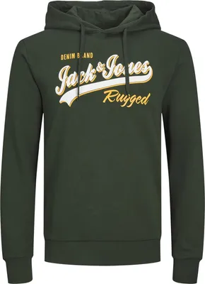 Productafbeelding van Jack & Jones hoodie, groen, regular pasvorm