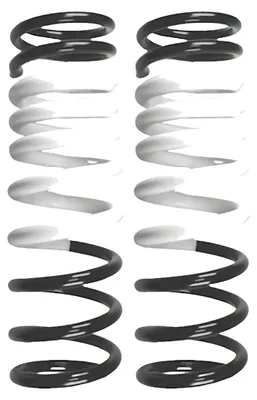 Produktbild von Fahrwerksfedern-Set Hinterachse Schraubenfeder Ø115mm SPIDAN für u.a. FORD FOCUS