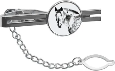 Image de Art-Dog Pince à cravate – Appaloosa