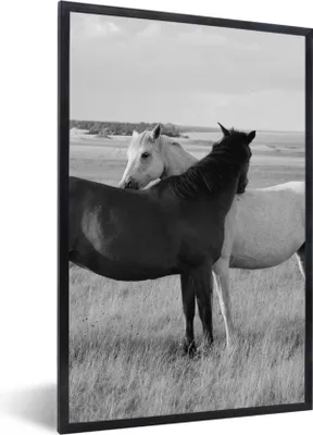 Produktbild von MuchoWow® Gerahmtes Poster Pferde - Tiere - Porträt - Schwarz-Weiß - Landleben 60x90 cm - Poster mit Schwarzem Bilderrahmen Wandposter Rahmen Foto Bilder - Kunst