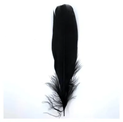 Produktbild von 10 Stück echte Gänsefedern, ca. 15-20 cm - Vielseitig einsetzbar für Bastelarbeiten, Dekorationen, DIY-Projekte, Kostümzubehör und Schmuckherstellung (Schwarz)