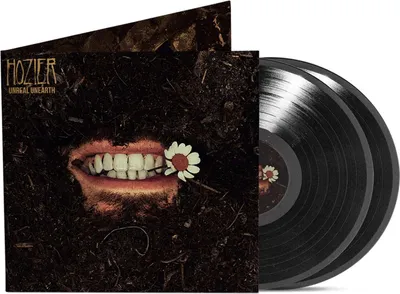 Immagine prodotto di Hozier - Unreal Unearth (2 LP)