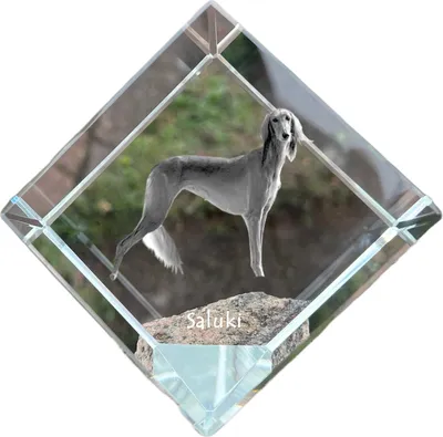 Imagen del producto de Saluki, Galgo persa, Perro real de Egipto, Gazelle Hound I cubo de cristal con perro Art-Dog