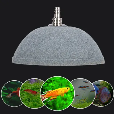 Productafbeelding van Bubbelsteen, luchtbubbelsteen, beluchter met bubbelsteen, bubbelsteen voor aquarium, bubbelsteen voor vissenbak