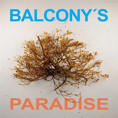 Produktbild von Balcony's Paradise