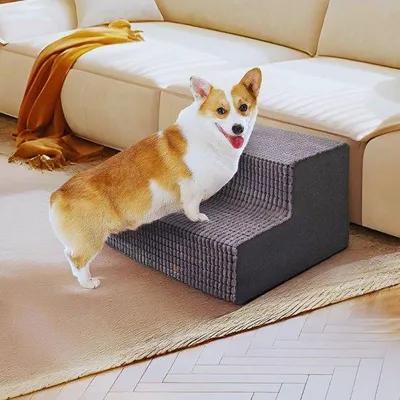 Image de Escalier pour chien à 2 marches - Escalier en mousse souple pour petits chiens et chiens âgés (40 cm, gris)