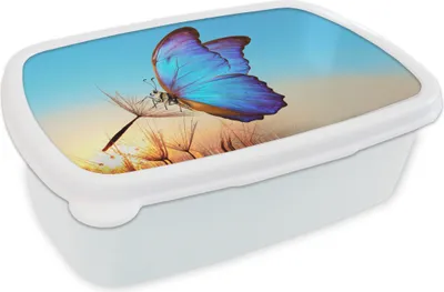 Produktbild von KitchenYeah® Lunchbox Brotzeit Brotdose 17x11 cm Schmetterling - Löwenzahn - Blau Kinder Brotzeitdose - Lunch Box - Kinder - Sandwich-Box - Schulbox - Lunch Boxen