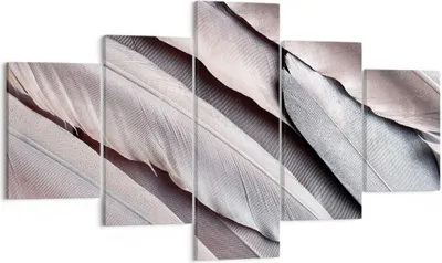 Produktbild von Bild auf Leinwand - Leinwandbild - 5 Teile - Federn Flügel Feder - 125x70cm - Wand Bild - Wanddeko - Wandbilder - Leinwanddruck - Bilder - Wanddekoration - Leinwand bilder - Wandbild - EA125x70-5114