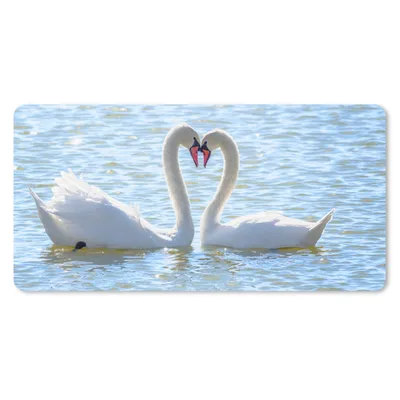 Produktbild von MuchoWow® Schreibtischunterlage Vögel - Schwan - Wasser - Liebe - Sonne 80x40 cm - XXL Mauspad - Gaming Mauspad