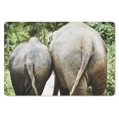 Produktbild von MuchoWow® Schreibtischunterlage Elefant - Tiere - Grau - Natur 60x40 cm - XXL Mauspad - Großes Mauspad