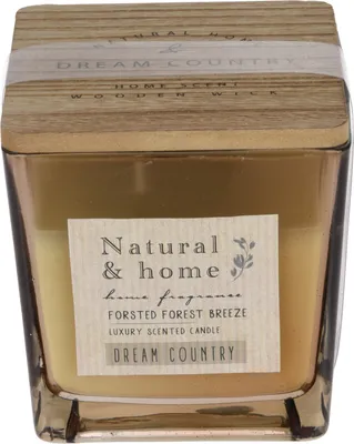 Image de Bougie parfumée en verre, grise, senteur brise de forêt