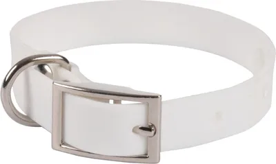 Image de Collier chien silicone menthe S