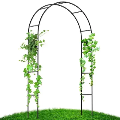 Image de Pergola d'été décorative - Arche pour plantes grimpantes et rosiers - Métal - Autoportante - Résistante aux intempéries - Vert