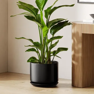 Produktbild von Keramik Blumentopf Groß 30 cm Schwarz mit Untersetzer und Abflussloch