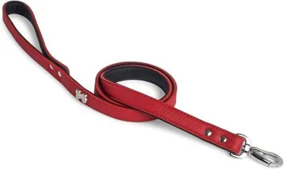 Produktbild von Famanu Hundeleine mit starken Karabinerhaken - 102 cm - Rot