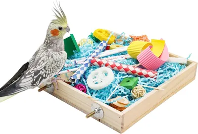 Produktbild von Futterspielzeug Box Papagei - Zerkleinerungsspielzeug Box Vögel - Kauspielzeug - Vogelkäfig Zubehör - geeignet für kleine Vögel - Wellensittiche - Nymphensittiche - Liebesvögel - Conures