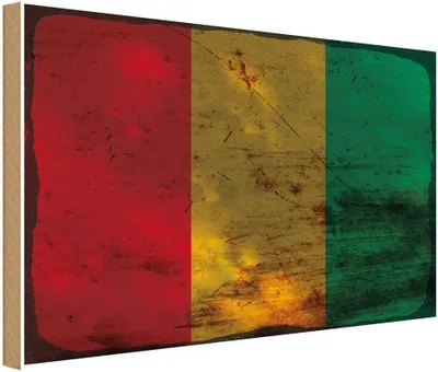 Produktbild von vianmo Holzschild 30x40 cm Guinea Flagge Fahne Wappen