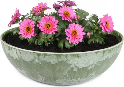 Produktbild von Runde bauchige 20 cm Pflanzschale für draussen, grün marmoriert