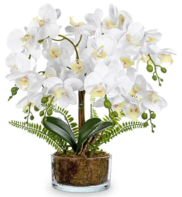 Kunst-Orchidee 41,9 cm, 33 weiße Blüten, in Glasvase