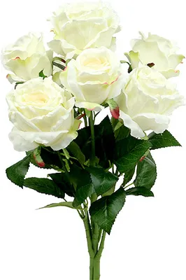 Produktbild von Rosenstrauß Weiß Creme 55cm Hochzeit Dekoration