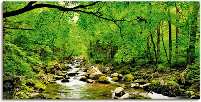 Produktbild von ARTland Leinwandbild Herbstwald Fluss Smolny Größe: 100x50 cm