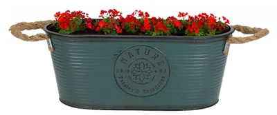 Produktbild von Sunnydays Teil/Pflanzgefas - Zink - petrolblau - 35 x D19 x 14 cm