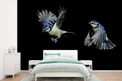 Produktbild von MuchoWow® Fototapete für Wohnzimmer oder Schlafzimmer Wandtapete Vinyl Motivtapete Vögel - Federn - Schwarz - 330x220 cm - Fototapeten