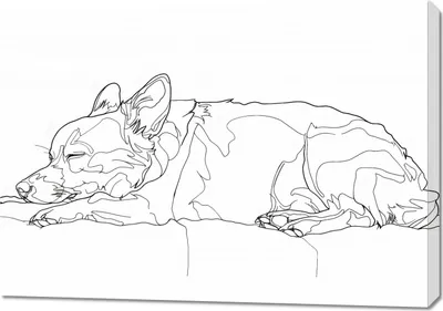Produktbild von Bild 100x70cm Schlafender Hund