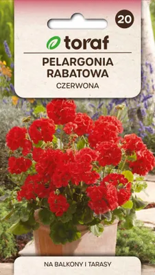 Obrázok produktu pre Červená záhradná pelargónia – Kvetinové semená – 617 Toraf
