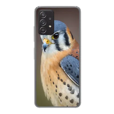 Produktbild von MuchoWow® Handyhülle Schutzhülle Hülle für Samsung Galaxy A53 5G Vogel - Makro - Blau Silikon Softcase Handy Hülle - Schutzabdeckung