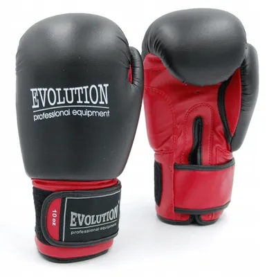 Produktbild von Evolution Standard Boxhandschuhe Sparring 14 OZ