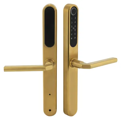 Produktbild von Smartes Türschloss - Fingerabdruck Schloss aus 304 Edelstahl - Digitales Türschloss mit Griff - Doppelfalle - 2 Schlüssel - Gold